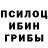 Галлюциногенные грибы мицелий Oleg Azaliiev