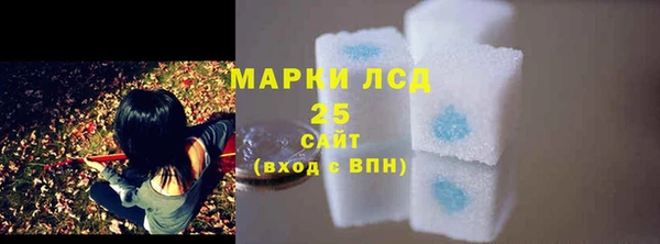 прущие крисы Новозыбков