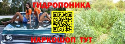 соль ск Бийск