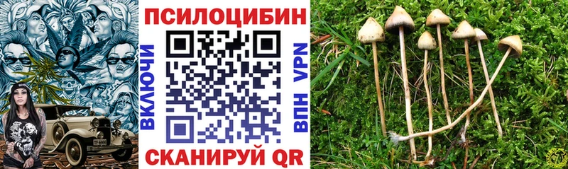 Псилоцибиновые грибы Magic Shrooms  Павлово 