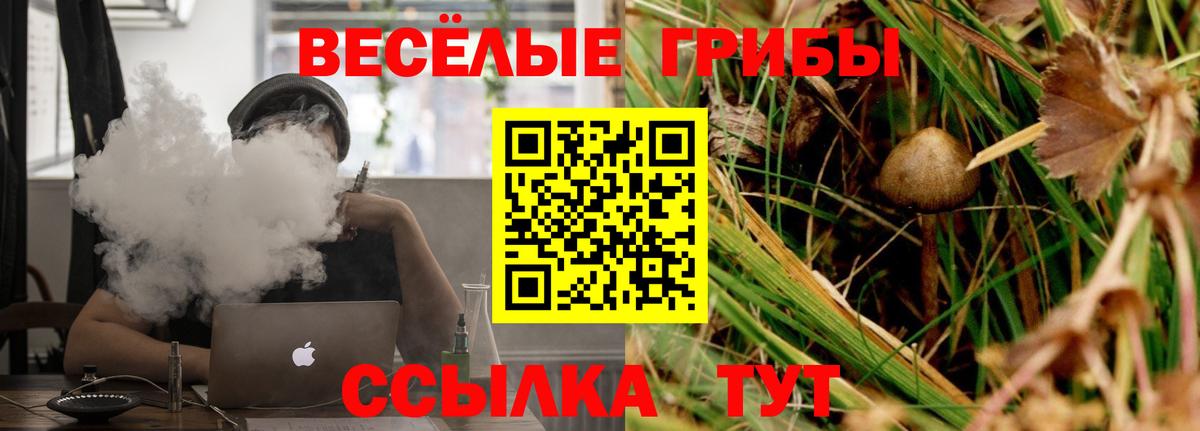 Псилоцибиновые грибы прущие грибы Павлово