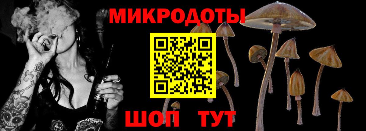 Галлюциногенные грибы MAGIC MUSHROOMS  что такое наркотик  Павлово  Вход с VPN 
